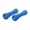 3KG 健身瑜珈啞鈴 | 一對裝 - 藍色