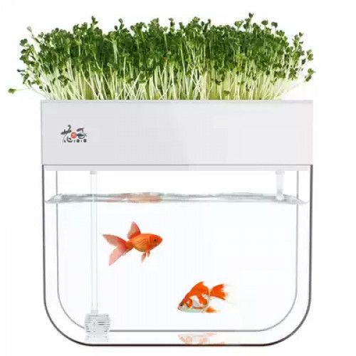 花沐魚魚菜共生小型生態魚缸