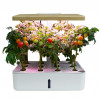 OLIZ 小型智能光照水培種植機(Z202) | 水耕栽培 | 蔬菜花果雙模式