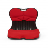 韓國HiHip 坐姿矯正椅背- 紅色 | 減輕脊椎壓力 | 可拆卸坐墊 | 韓國製造