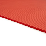 Reebok 7mm訓練地墊 (紅色) | 居家運動 | 穩定舒適 | 輕巧易收納 - 紅色