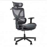 日本COFO Pro 人體工學椅 | 7D坐感 | BIFMA權威認證 | 多個部位承托 | 香港行貨