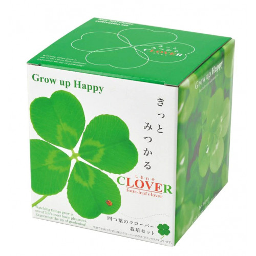 SeiShin 幸運盒子 GD-592 四葉草小盆栽 | 家居辦公室盆栽 | 室內種植