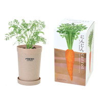 SeiShin 根莖蔬菜 GD-891-02 紅蘿蔔小盆栽 | 在家種植 | 室內種植 | 自種自煮