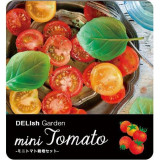 SeiShin 香料花園 GD-757-04 小蕃茄小盆栽 | 在家種植 | 室內種植 | 自種自煮