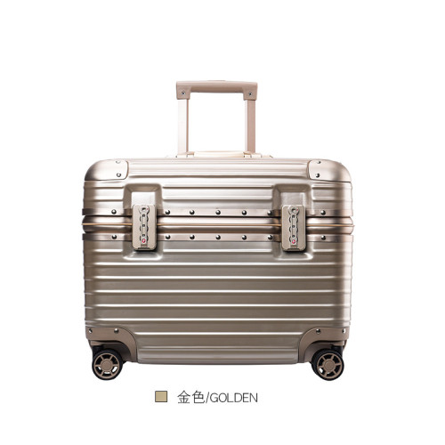 21寸拉桿鋁框鎂合金行李箱 - 香檳金 | 化妝箱 | 攝影箱 | TSA密碼鎖
