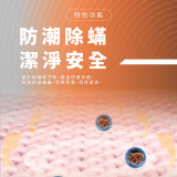 Hayaku 法蘭絨恆溫單人電暖墊 | 8個可調溫度 | 香港行貨