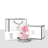 玻璃罩永生康乃馨 - 小花園 | 母親節禮物 | 預訂約4個工作天