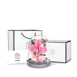 玻璃罩永生康乃馨 - 小花束 | 母親節禮物 | 預訂約4個工作天
