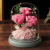 玻璃罩永生康乃馨 - 小花束 | 母親節禮物 | 預訂約4個工作天