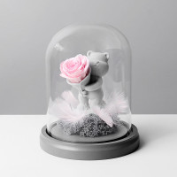 玫瑰告白熊玻璃罩永生花 - 粉紅