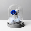 玫瑰告白熊玻璃罩永生花 - 藍色