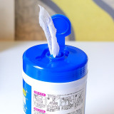 日本IRIS 消毒殺菌酒精濕巾 (100枚入) | 清潔馬桶除菌紙