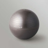 ELECOM Eclear 75mm瑜珈球 | 500KG承重 | 防爆素材