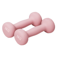 1kg 女士專用啞鈴 (一對裝)