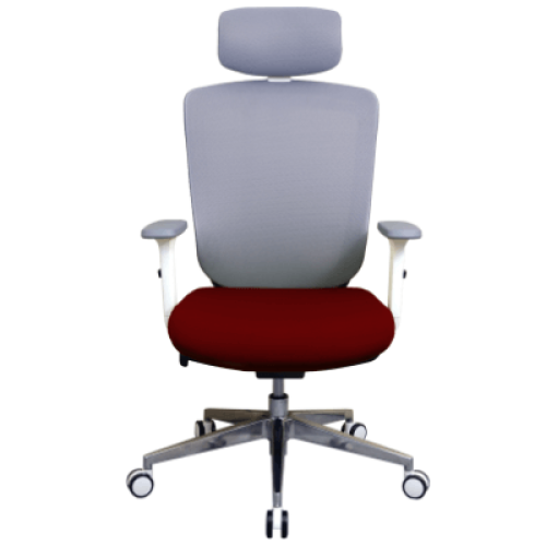 Zenox Zagen 透氣網布辦公椅 - 紅色 | 2D可調扶手 | 可仰後及鎖定 | 香港行貨 【代理直送】