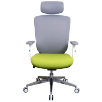 Zenox Zagen 透氣網布辦公椅 - 綠色 | 2D可調扶手 | 可仰後及鎖定 | 香港行貨 【代理直送】