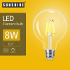 Sunshine- (LDIMFGA-8E27D)LED可調光復古燈膽 - 白光 | 透明燈罩LED燈泡