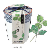 SEISHIN GD-758 和式茶杯草藥配料盆栽 - 三葉草 | 家居辦公室盆栽 | 室內種植