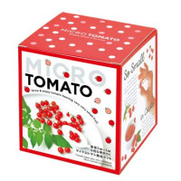 SEISHIN GD-903 微型小蕃茄盒子 | 家居辦公室盆栽 | 室內種植