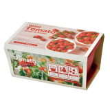 SEISHIN GD-93102 蕃茄小盆 | 家居辦公室盆栽 | 室內種植