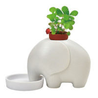 SEISHIN GD-95502 陶瓷小象盆栽系列- 白/野草莓 | 家居辦公室盆栽 | 室內種植