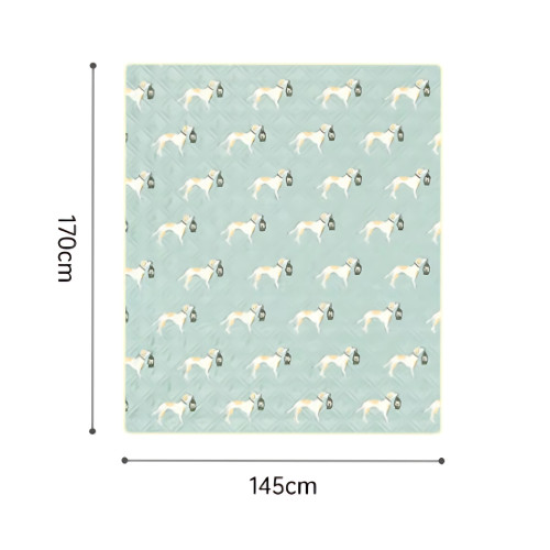 Naturehike Happy Ultrasonic 戶外野餐墊(CNK2350WS010) - 探險夥伴(145*170cm) | 5層加厚 | 雙面防污