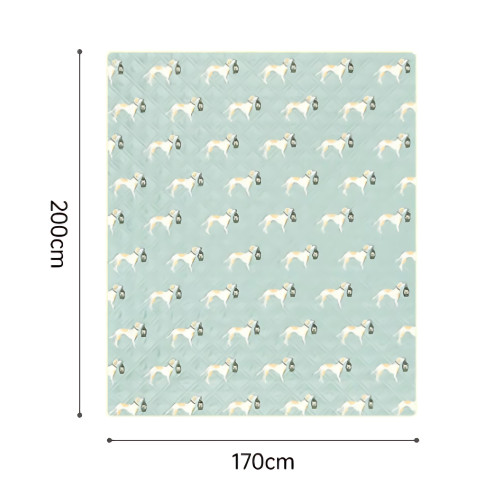 Naturehike Happy Ultrasonic 戶外野餐墊(CNK2350WS010) - 探險夥伴(170*200cm) | 5層加厚 | 雙面防污