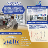 TY Science 川御 NMN40000+ 鉑鑽版(82粒裝) | 顯著刺激頭髮生長 | 提升活力和肌肉力量 | 有助於穩定血糖