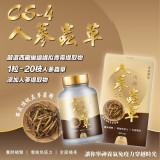 TY Science 川御 人蔘蟲草CS-4 | 增強免疫力 | 抗疲勞 |抗腫瘤 | 增強性功能 | 保護肝臟