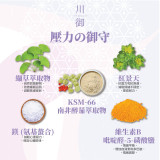 TY Science 川御 壓力の御守 | 具鎮靜抗壓、舒緩平靜的功效 | 適合調整焦慮、壓力、與睡眠相關的症狀
