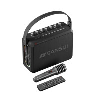 Sansui 山水T98無線戶外手提藍牙音箱-黑色 | DPS智慧降噪 | 隨身KTV | 無損播放