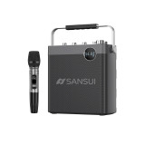 Sansui 山水T113便攜式無線藍牙音箱帶麥克風 | 支援直播 | DSP降噪 | 樂器連接