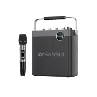 Sansui 山水T113便攜式無線藍牙音箱帶麥克風 | 支援直播 | DSP降噪 | 樂器連接
