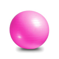 OneTwoFit OT037601 PVC瑜伽球 - 粉色-55cm | 加厚防爆 | 多功能用途 | 香港行貨