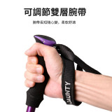 ONETWOFIT ET017302 輕量鋁合金三節直柄行山杖 - 黑色 | 雙層反光警示腕帶 | 耐用鎢錳鋼杖尖 | 香港行貨