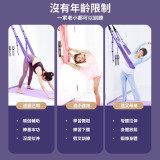ONETWOFIT ET044801 家用掛門空中瑜伽繩 - 紫色 | 可承重150kg | 長短可調節 | 配合普拉提練習 | 香港行貨