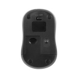 TARGUS AMW600 無線光學滑鼠 - 黑色 | 1600DPI 光學感應器 | 2.4 GHz 無線 | 輕巧行動 | 香港行貨