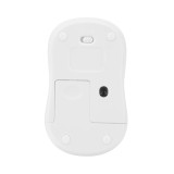 TARGUS AMW60001 無線光學滑鼠 - 白色 | 1600DPI 光學感應器 | 2.4 GHz 無線 | 輕巧行動 | 香港行貨