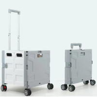 48L 經典萬向輪可摺疊式買餸車 (FW548) - 灰白色 | 360度靜音萬向輪 | 折疊超省空間 | 加厚鋼架承重力強