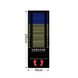 立定跳遠測試專用墊 - 250*90cm | 防滑耐磨 | 訓練便攜器材 | 運動達標專用 | 加厚減震 | 防滑紋理設計