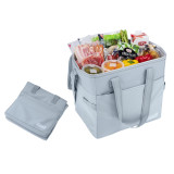 Coleman Daily Cooler 20L 軟式保冷袋連環保袋 | 輕量折疊收納 | 抗菌內層