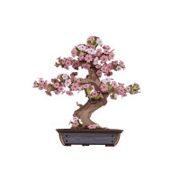 Rolife若來 DIY木製木櫻花語-櫻花樹 | 3d立體拼圖 | 拼裝模型 | 手作玩具