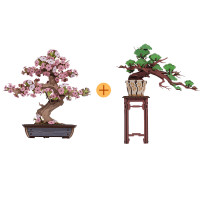 Rolife若來 DIY木製木櫻花語+自在青松 | 3d立體拼圖 | 拼裝模型 | 手作玩具