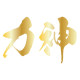 力神 logo