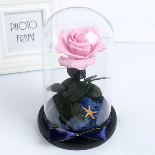 ETERNA 玻璃罩永生玫瑰花 | 小王子花 - 粉紅色