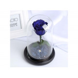 ETERNA 玻璃罩永生玫瑰花 | 小王子花 - 藍色