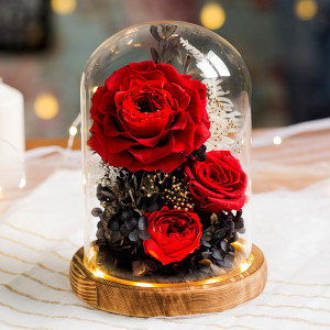 ETERNA 玻璃罩永生玫瑰花 | 小花園系列 - 紅色