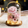 玻璃罩永生玫瑰花 | 小花園系列 - 粉紅色