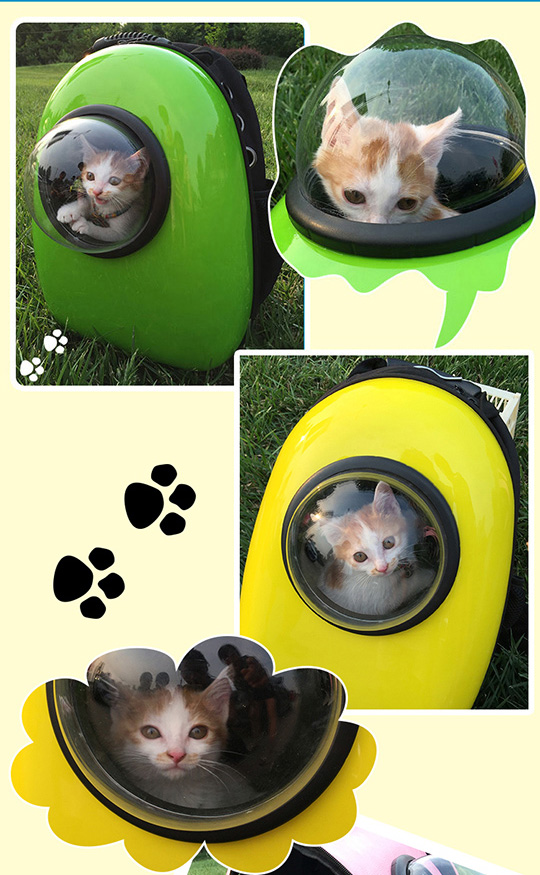 貓狗寵物太空包 | 寵物背囊- Outlet Express HK生活百貨城